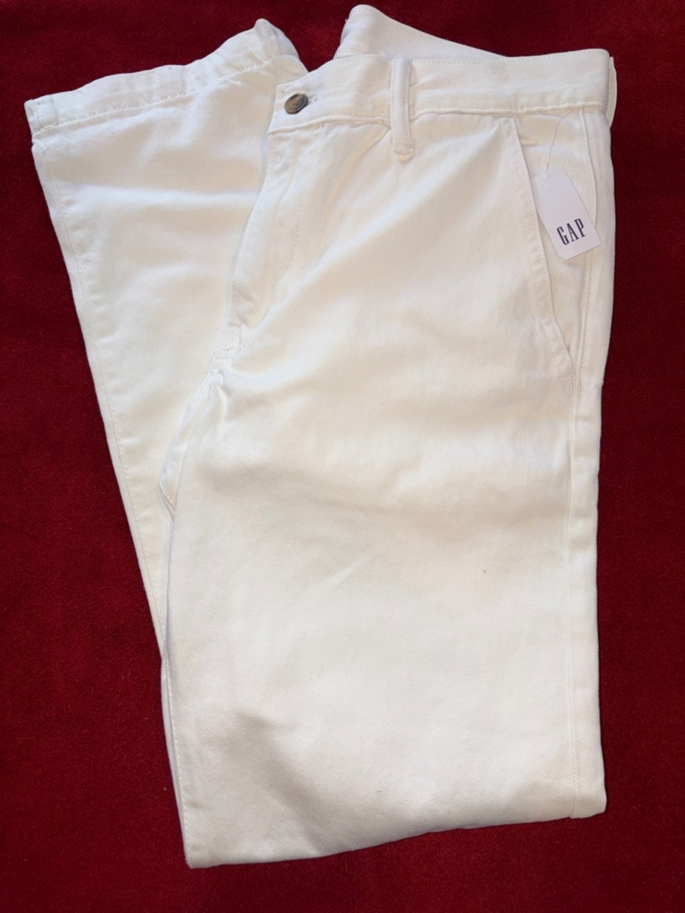 GAP Men's Off-White Chinos